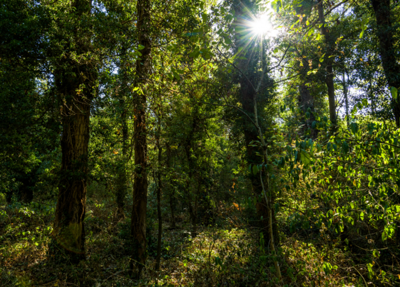 PR705 Les Panoramas de Lubilhac