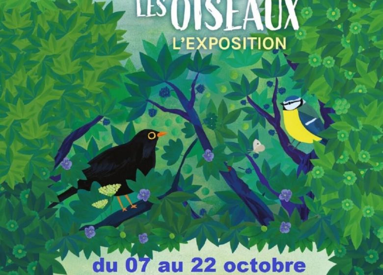 Observons les oiseaux