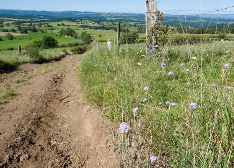 PR404 Le pié de Charenty