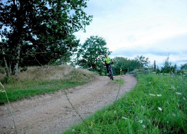 2 – Brioude, porte des gorges de l’Allier