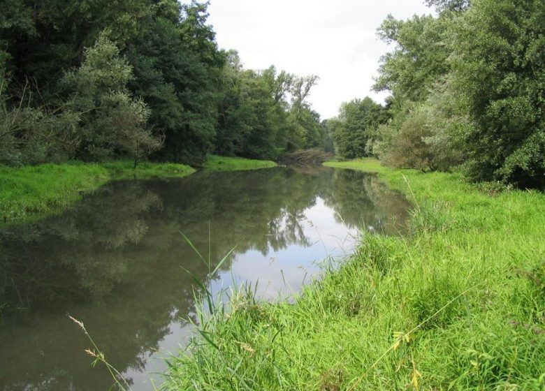 2 – Brioude, porte des gorges de l’Allier